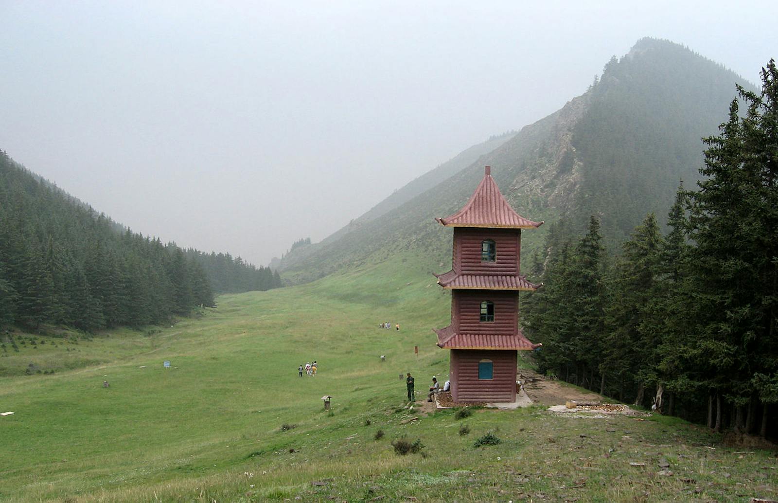 Helanshan Montane Conifer Forests One Earth